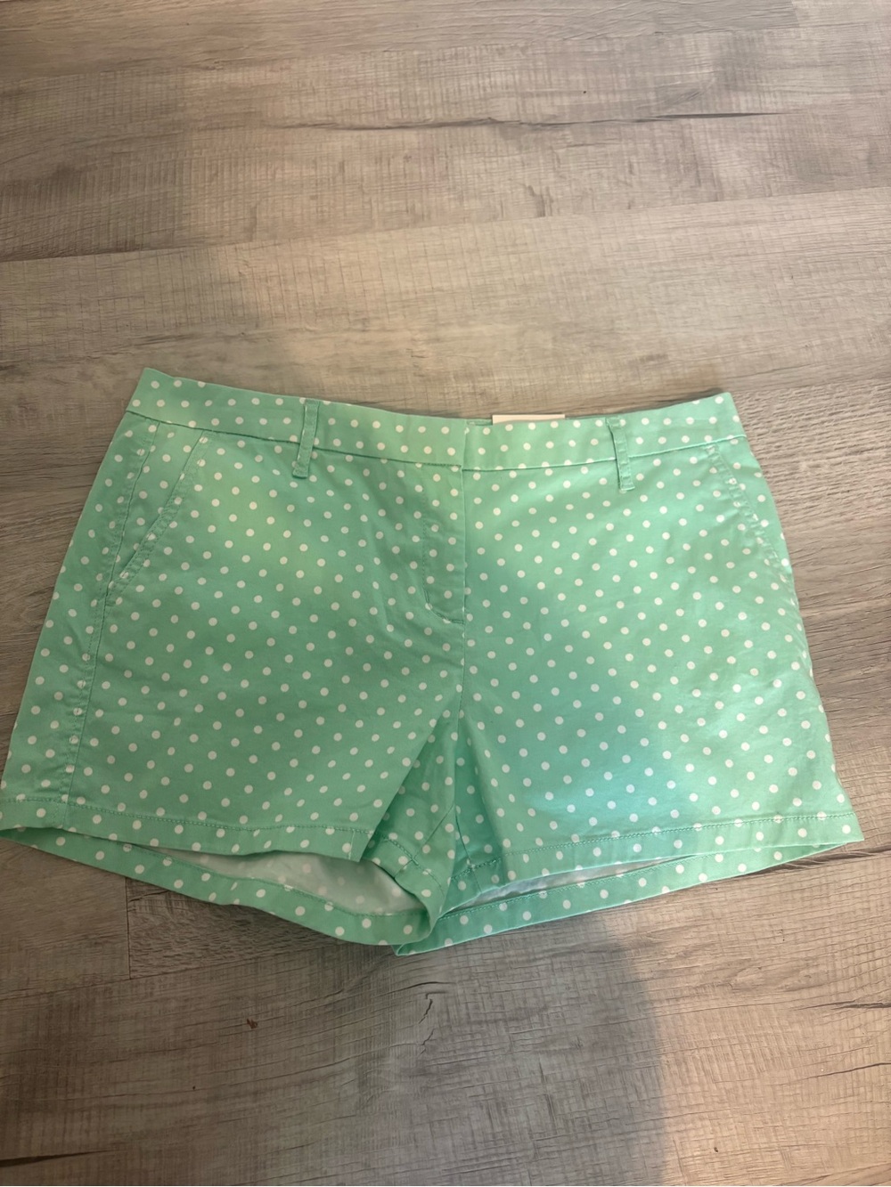 Elle Polka Dot Mint Women’s Shorts